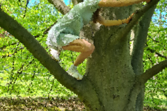 Stammheim Castle Park Cologne - Girl climbs in a tree .. 11