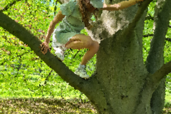 Stammheim Castle Park Cologne - Girl climbs in a tree .. 12