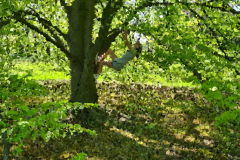 Stammheim Castle Park Cologne - Girl climbs in a tree .. 02
